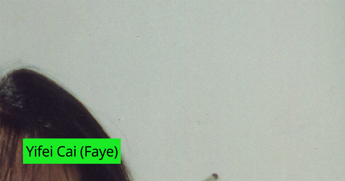 Yifei Cai (Faye)